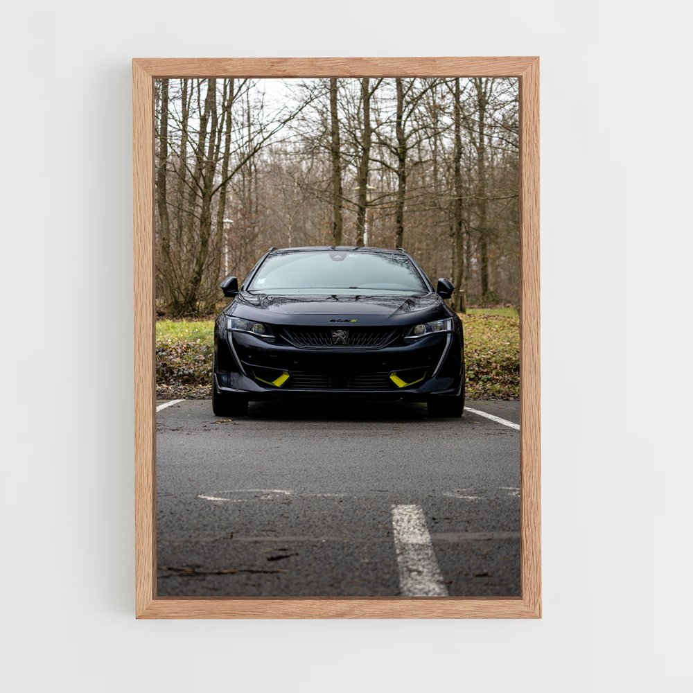 Poster magnifique pse – affiche Peugeot (vue 4)